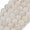 Natural Rainbow Moonstone Beads Strands G-C068-8mm-1A-2