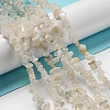 Natural Moonstone Beads Strands G-G0003-B42-4