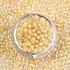 6/0 Glass Seed Beads X-SEED-A015-4mm-2202-3