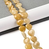 Natural Topaz Jade Beads Strands G-I372-A15-02-2