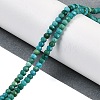 Natural Turquoise Dyed Beads Strands G-H070-A01-01-2