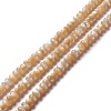 Natural Trochid Shell/Trochus Shell Beads Strands SSHEL-O001-24A-01-3