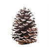 Wood Artificial Pine Cone HULI-PW0002-034B-1