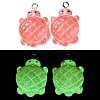 Gradient Color & Luminous Opaque Resin Pendants RESI-S011-01D-2