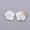 Natural White Shell Beads BSHE-K054-23-2