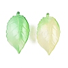 Gradient Color Acrylic Big Pendants OACR-N137-30-2