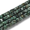 Dyed Natural Sesame Jasper/Kiwi Jasper Imitation African Turquoise Beads Strands G-H230-57-1