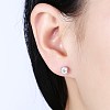 Exquisite 925 Sterling Silver Cubic Zirconia Stud Earrings EJEW-BB20094-2