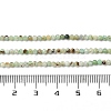 Natural Chalcedony Beads Strands G-G189-D21-01-5