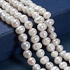 Natural Cultured Freshwater Pearl Beads Strands PEAR-N013-06G-4