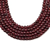 Gemstone Beads Strands G-G099-3mm-36-2