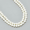  2 Strands Natural Trochid Shell Beads Strands SSHEL-NB0001-36-7