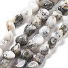 Natural White Opal Beads Strands G-C179-F02-01-1