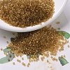 MIYUKI Delica Beads SEED-MY11-DB0119-1