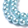 Eco-Friendly Dyed Glass Pearl Round Beads Strands HY-A002-8mm-RB106-3