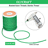 Olycraft 10 Rolls 10 Colors Braided Nylon Threads NWIR-OC0001-07-2