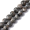 Natural Fluorescent Syenite Rock(Glow under UV Light) Beads Strands G-C179-A39-03-2