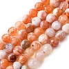 Faceted Natural Fire Crackle Agate Beads Strands X-G-F447-6mm-B03-2
