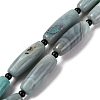 Natural Tibetan dZi Agate Beads Strands G-NH0018-C01-01-2