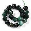 Natural Fuchsite Beads Strands G-S345-10mm-33-3