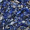 Natural Lapis Lazuli Chip Beads G-L453-05-1