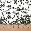 TOHO Round Seed Beads SEED-XTR11-0617-4