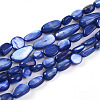 Natural White Shell Beads Strands SHEL-N036-21B-1