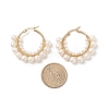 Natural Pearl Beaded Hoop Earrings EJEW-TA00156-5