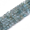 Natural Apatite Beads Strands G-S362-003-1