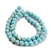 Assembled Synthetic Stone and Trochus Shell Beads Strands G-B128-08C-06-2