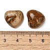 Natural Picture Jasper Cabochons G-F776-02A-17-3