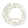 Eco-Friendly Dyed Glass Pearl Round Beads Strands HY-A008-6mm-RB001-5