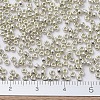 MIYUKI Round Rocailles Beads SEED-G007-RR0181-2