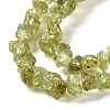 Natural Peridot Beads Strands G-P332-48-01-3