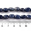 Natural Sodalite Beads Strands G-G146-A03-01-5