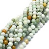 Natural Myanmar Jade Beads Strands G-E576-08A-4