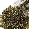 TOHO Round Seed Beads SEED-TR08-0758-1