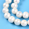 Natural Cultured Freshwater Pearl Beads Strands PEAR-N016-11A-4