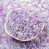 Glass Seed Beads SEED-K009-02B-22-2