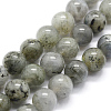 Natural Labradorite Beads Strands G-I199-15-12mm-1