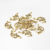 Zinc Alloy Fairy Sprite Charms X-PALLOY-A18526-AG-LF-1