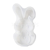 Easter DIY Silicone Molds SIMO-H023-01A-4