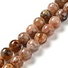 Natural Flower Agate Beads Strands G-B044-A01-03-2