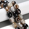 Natural Eye Agate Beads Strands G-NH0019-C04-07-4