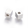 Non-Tarnish 202 Stainless Steel Beads X-STAS-F205-06P-C-2