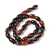 Natural Agate Beads Strands G-Q194-B01-01F-3