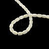 Barrel Natural Trochid Shell/Trochus Shell Beads Strands SSHEL-F290-25-2