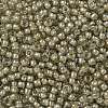 TOHO Round Seed Beads X-SEED-TR08-0369-2