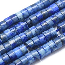 Natural Lapis Lazuli Beads Strands G-A177-01L-14