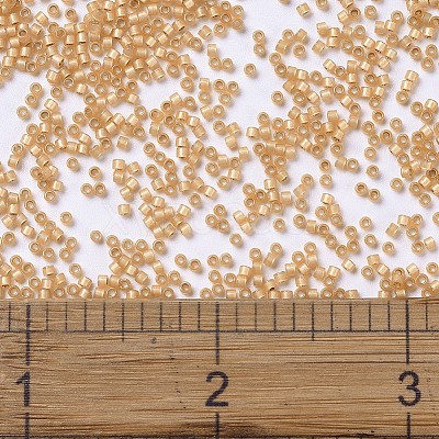MIYUKI Delica Beads SEED-X0054-DB2171-1